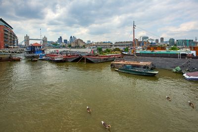 DSC_0438.jpg