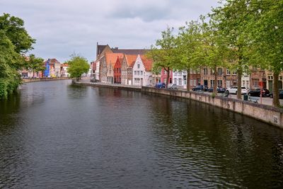 DSC_0087.jpg