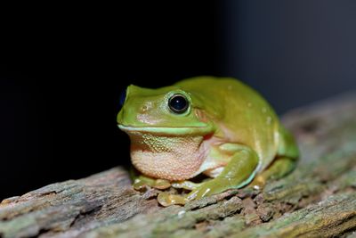 DSC_9873.jpg