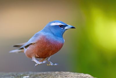 DSC_1629.jpg