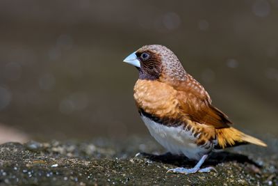 DSC_8256.jpg
