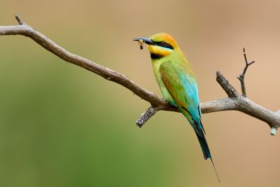 DSC_2363.jpg