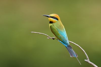 DSC_3203.jpg