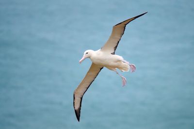 DSC_9080.jpg