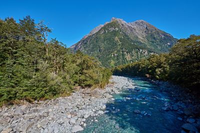 DSC_7790.jpg