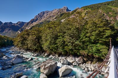 DSC_7796.jpg