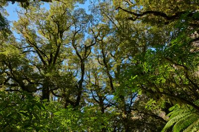 DSC_7865.jpg