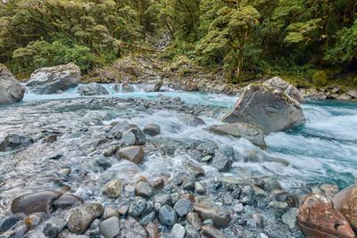 DSC_7904.jpg