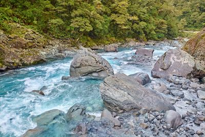 DSC_7908.jpg