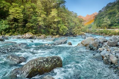 DSC_7912.jpg