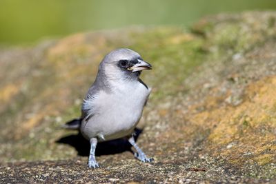 DSC_1543.jpg