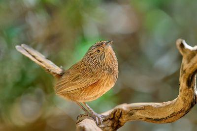 DSC_4820.jpg