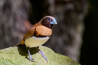 DSC_6320.jpg