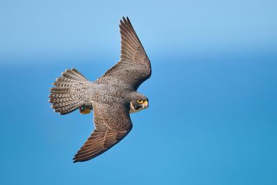 BZ8_5942.jpg