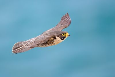 BZ8_7494.jpg