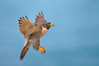 BZ8_7518.jpg