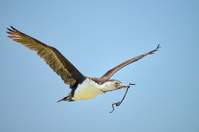 BZ8_7615.jpg