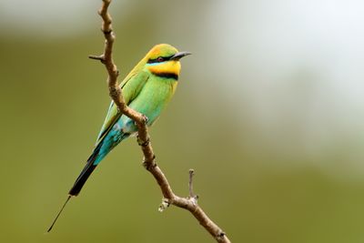 DSC_4330.jpg