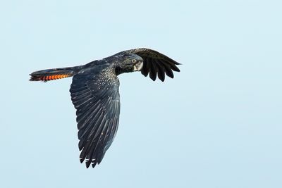 DSD_8266.jpg