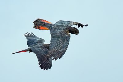 DSD_8260.jpg