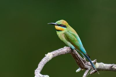 DSC_2784.jpg