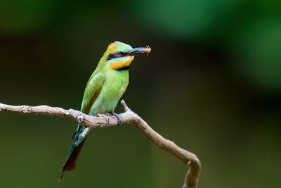 DSC_2983.jpg