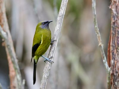 DSC_8975.jpg