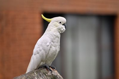 BZ8_9434.jpg