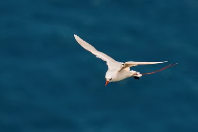 DSC_0422.jpg