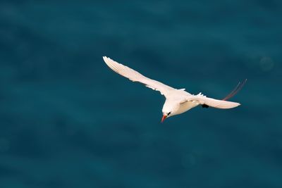 DSC_0421.jpg
