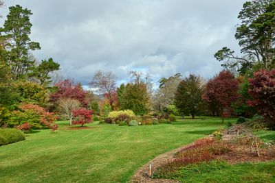 BZ8_0139.jpg