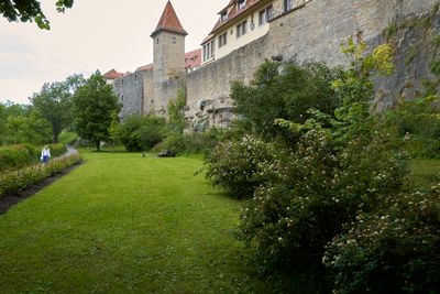 IMGP0785.jpg