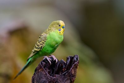 BZ8_3271.jpg