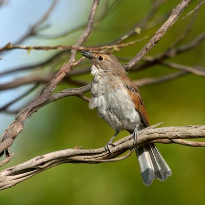 DSC_7637.jpg