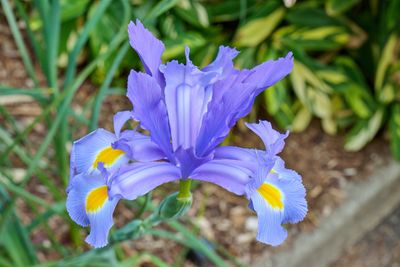 g13/21/489821/3/175819046.5cf49c48.JPEG