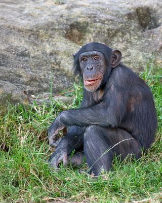 _IGP9379.jpg