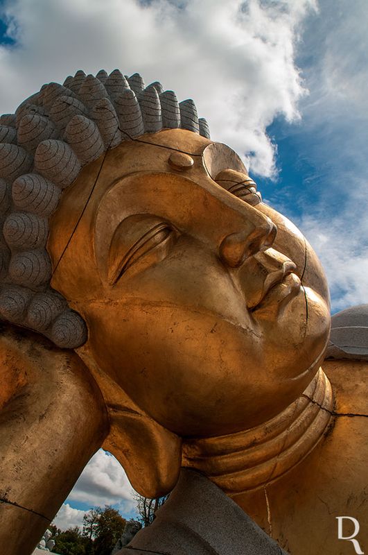 Bacalha Buddha Eden <br> em 25 de abril de 2009