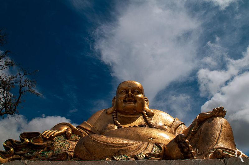 Bacalha Buddha Eden <br> em 25 de abril de 2009 