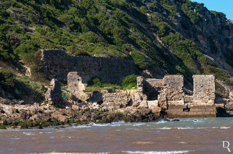 Runas da Alfndega<br> de Salir do Porto