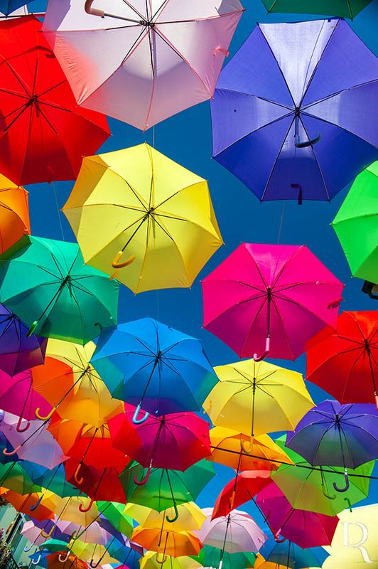 Agitagueda <br> Os Chapus-de-Chuva Coloridos