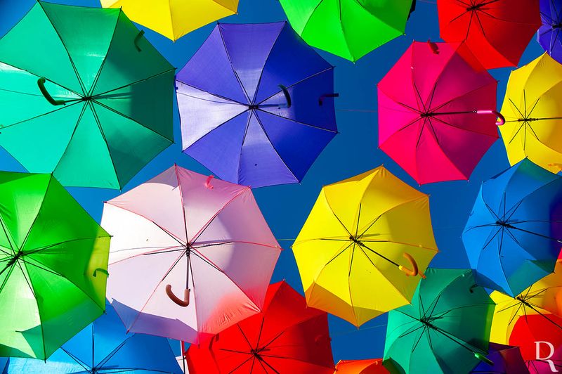 Agitagueda <br> Os Chapus-de-Chuva Coloridos