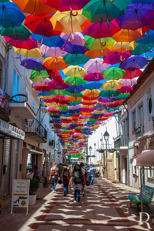 Agitagueda <br> Os Chapus-de-Chuva Coloridos