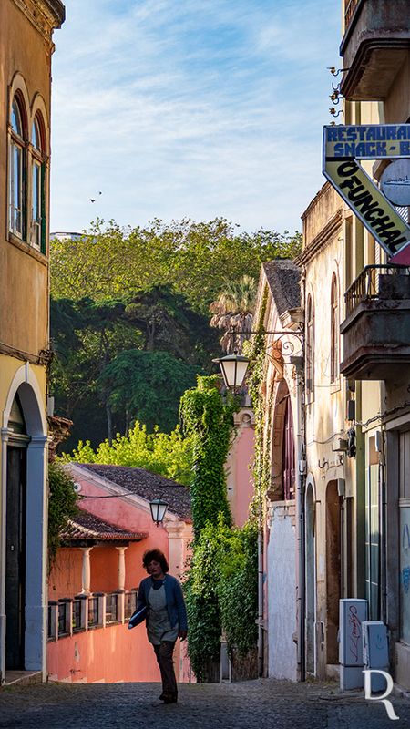 Rua Provedor Frei <br>Jorge de So Paulo