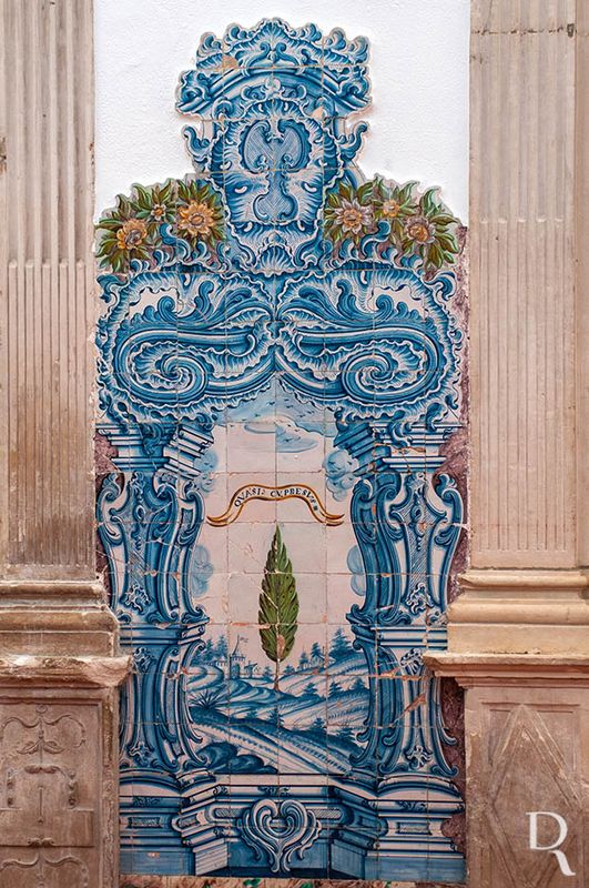 Atributos das Litanias Marianas <br> Cipreste