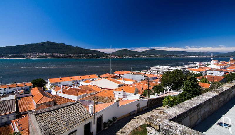 Caminha