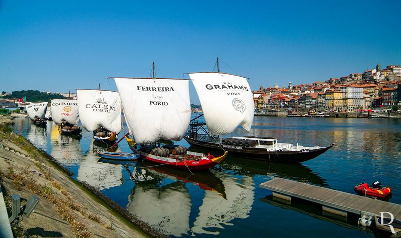 The Port Wine Boats