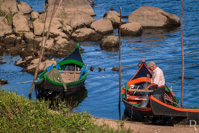 Pescador do Tejo