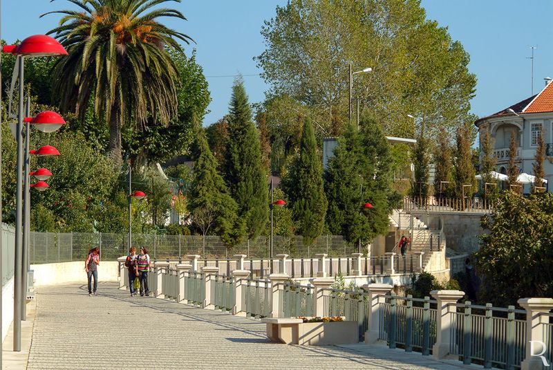 Passeio Ribeirinho