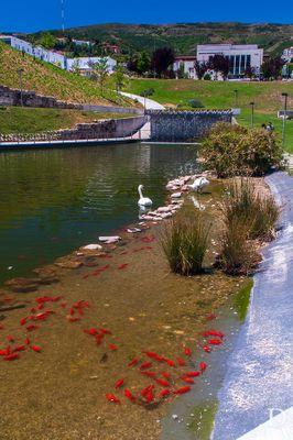 Jardim do Lago