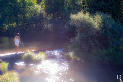 O Rio Paiv e a Praia Fluvial da Folgosa